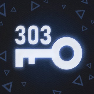 АГЕНТ 303