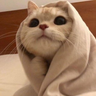 ГОРОСКОПЫЧ