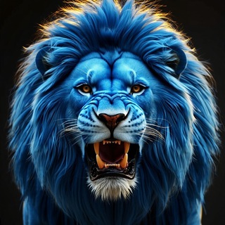 FZENIT
