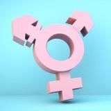  TRANS 