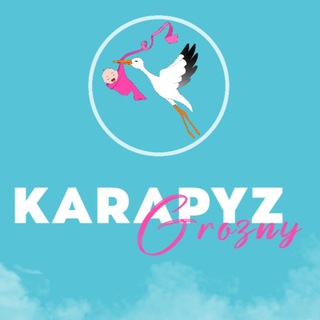 КАРАПУЗ. СУМКА В РОДДОМ.