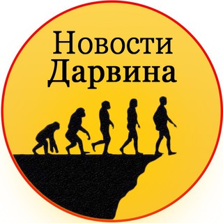 НОВОСТИ ДАРВИНА