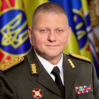 ЗАЛУЖНИЙ В.Ф.
