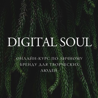 DIGITAL SOUL — CREATED BY MERAKI MOBI
