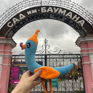 ЛАВКА ЧИЖИКА: КНИГИ И ДРУГИЕ СОКРОВИЩА