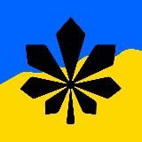 ДЕ У КИЄВІ | KYIV | КИЕВ
