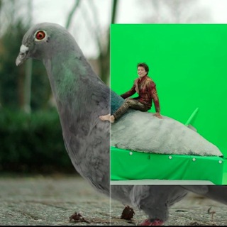 VFX BREAKDOWNS