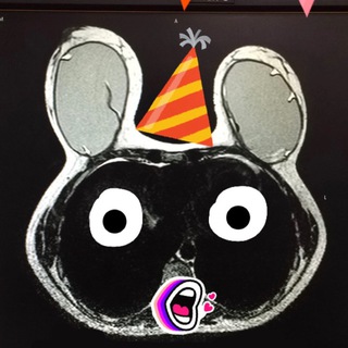 MEMES_MRI