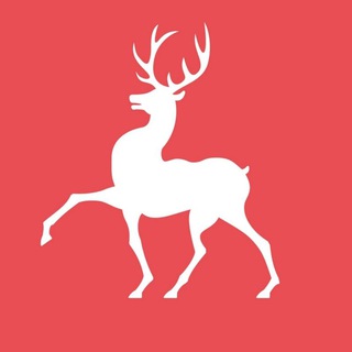НИЖЕГОРОДСКАЯ ОБЛАСТЬ В ТЕЛЕГРАМ | ОКА24