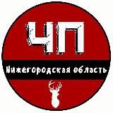 ЧП НИЖНИЙ НОВГОРОД И НИЖЕГОРОДСКАЯ ОБЛАСТЬ