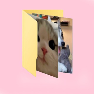 ZOOФАЙЛЫ
