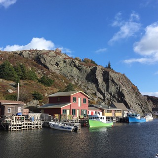 NEW NEWFOUNDLANDER