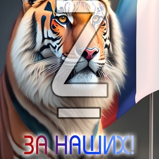 ЗА НАШИХ! (СБОРНИК СВОДОК)