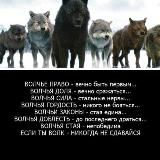 ТРИНАДЦАТЬ КАРАТ