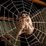  БДСМ | BDSM
