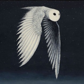 STOFF