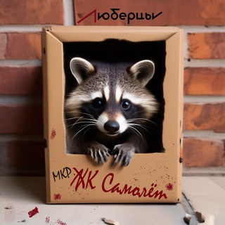 ЖК САМОЛЁТ
