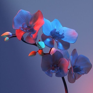 ИДЕИ ДЛЯ СТОРИС