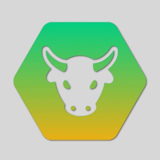 NIMIQ TRADERS
