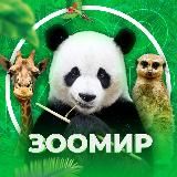 ЖИВОТНЫЕ ДОМАШНИЕ ПИТОМЦЫ