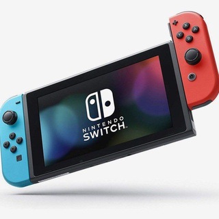 SWITCH (SKYLINE/EGG NS) ROMS