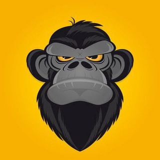 CRYPTO STATS 24 