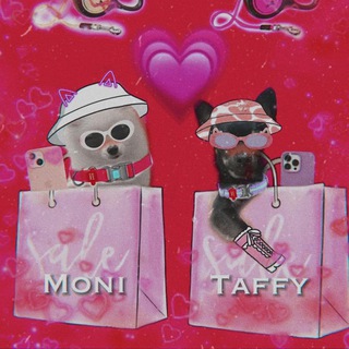TAFFI I MONI