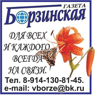 БОРЗИНСКАЯ ГАЗЕТА