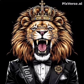 ЦАРЬ SHOP +79277474713