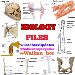 BIOLOGY DISCUSSION