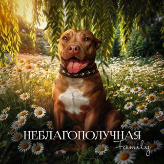 НЕБЛАГОПОЛУЧНАЯ FAMILY