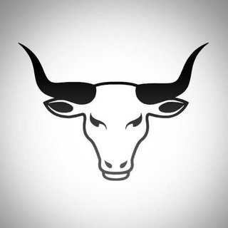 WHITE BULLS