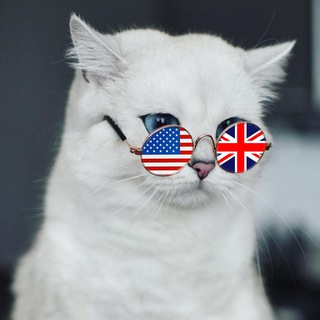 KITTY ENGLISH