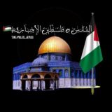 أخبار القدس وفلسطين 