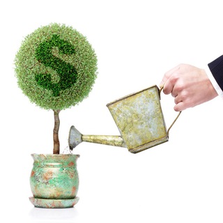 FALANDO DE INVESTIMENTOS
