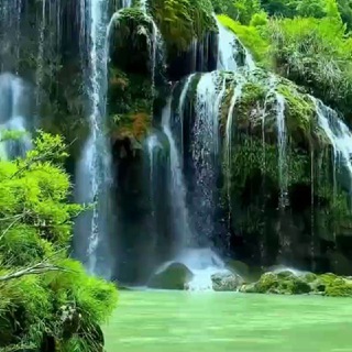 زندگی بدون پانیک وافسردگی