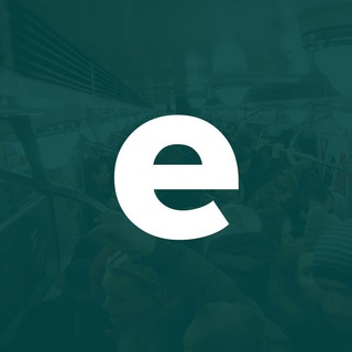 ECAREER - УДАЛЕННАЯ РАБОТА