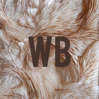 ОБЗОРЫ,ПОДБОРКИ WILDBERRIES