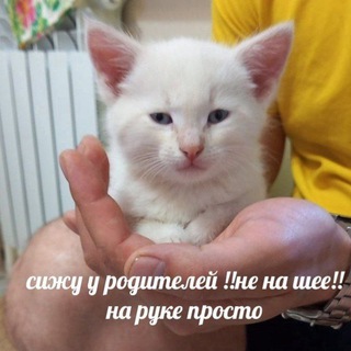 КРУГОВОЙ