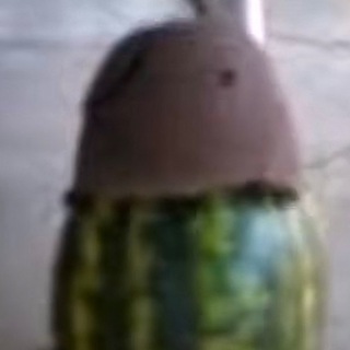 РАЙФ