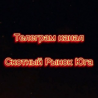 СКОТНЫЙ РЫНОК ЮГА