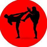 UFC | MMA | БОЕВЫЕ ИСКУССТВА