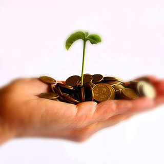 LIGHTMONEY
