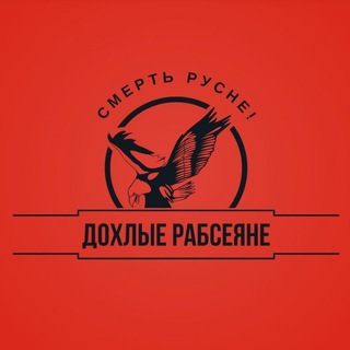 ✙ДОХЛЫЕ РАБСЕЯНЕ