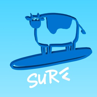 SURF FLUTTER TEAM