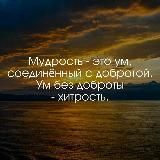 АФОРИЗМЫ | ЦИТАТЫ