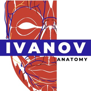 IVANOVANATOMYКАДАВЕР-КУРСЫ