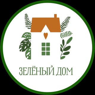 МАГАЗИН КОМНАТНЫХ РАСТЕНИЙ 