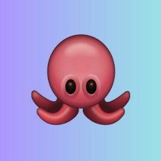 OCTOFI | UPDATES