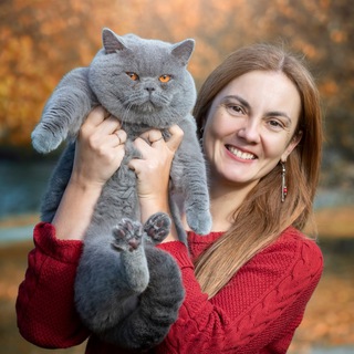 VLENIKA